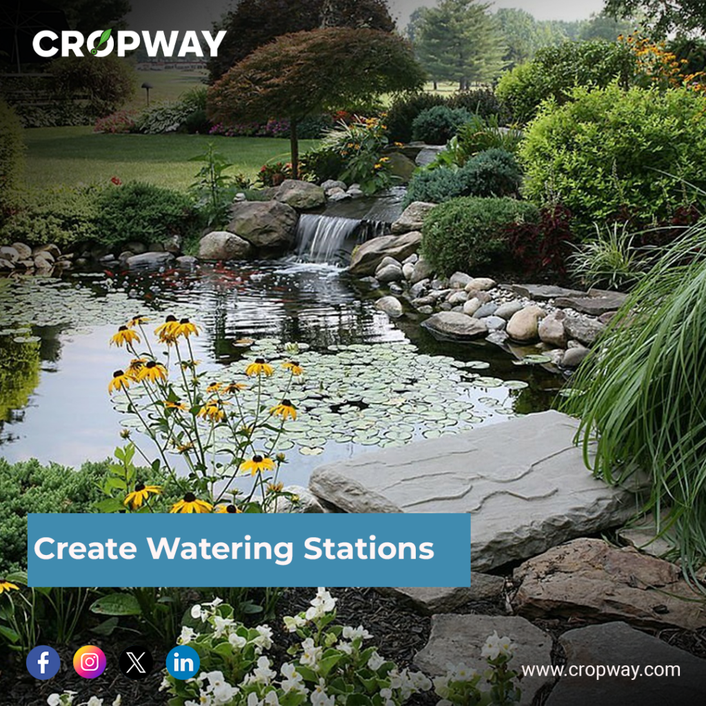 Create Watering Stations-Pollinators 