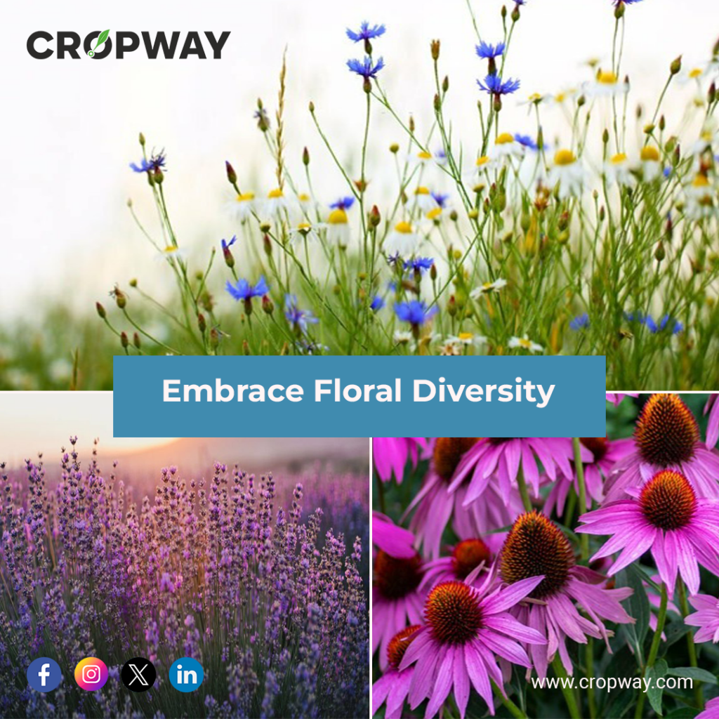 Embrace Floral Diversity-Pollinators 