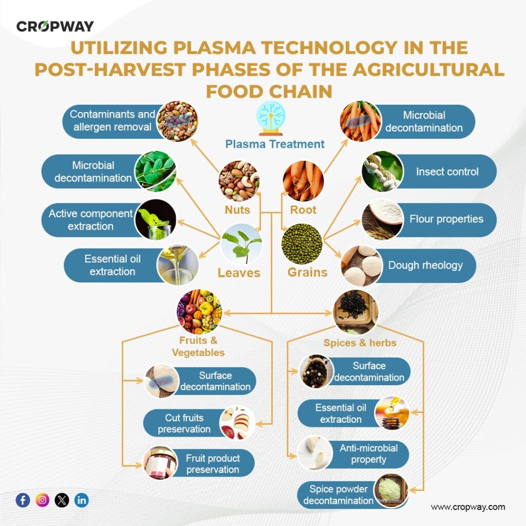 Plasma Agriculture Unleashed