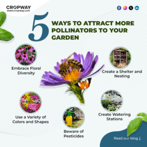 5 Ways to Attract More Pollinators to Your Garden
