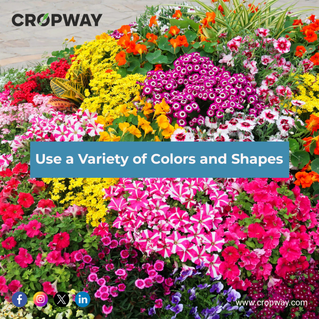 Use a Variety of Colors and Shapes