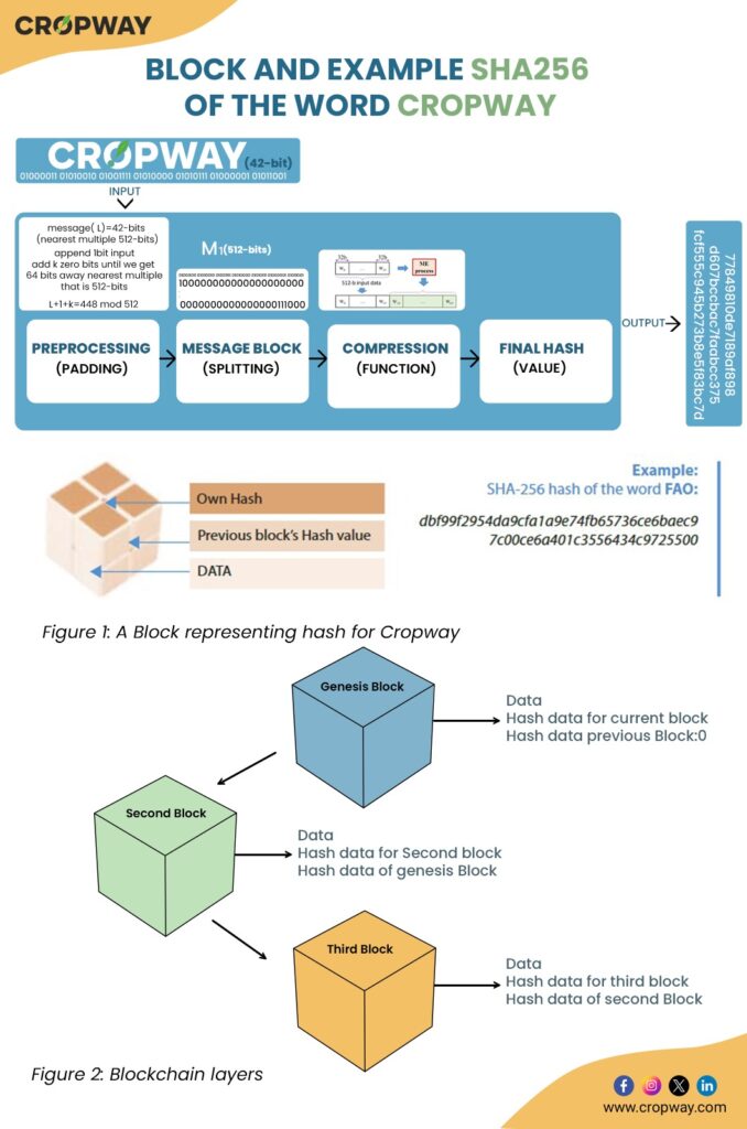 Blockchain layer