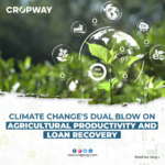 Climate Change Dual Blow on Agricultural Productivity