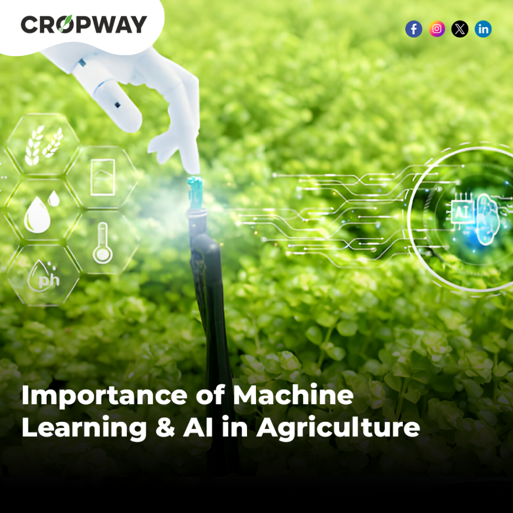 Importance of Machine Learning & AI in Agriculture