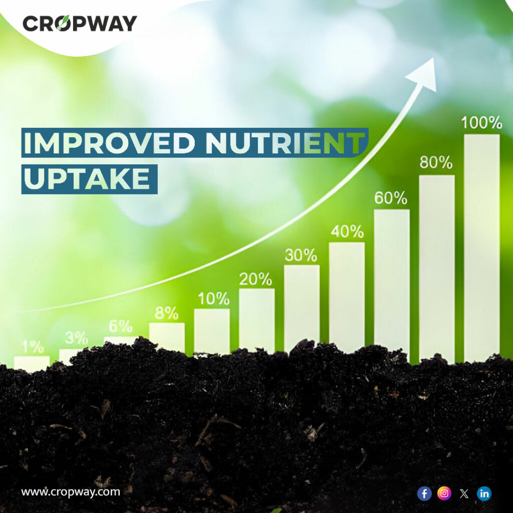 advantages of seaweed liquid fertilizer 