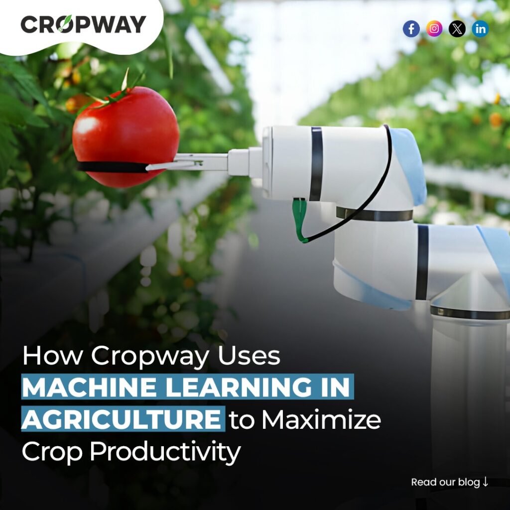 Machine Learning In Agriculture