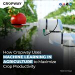 Machine Learning In Agriculture