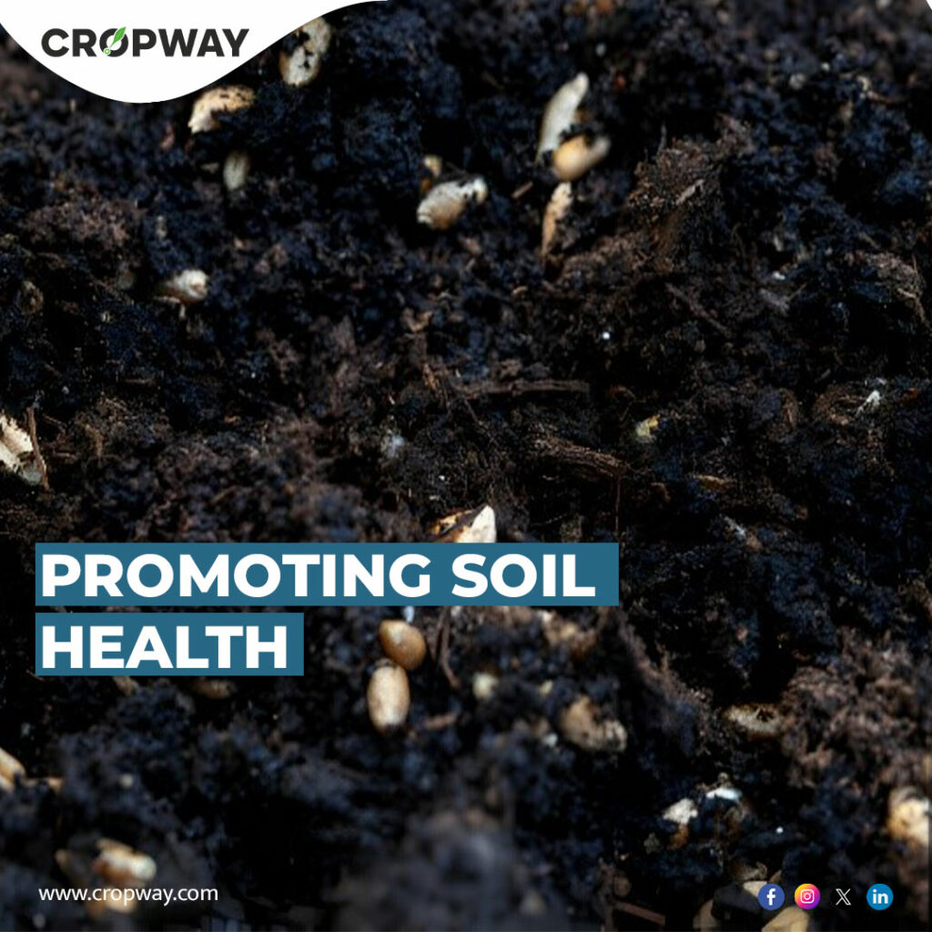 seaweed liquid fertilizer contributes to soil health