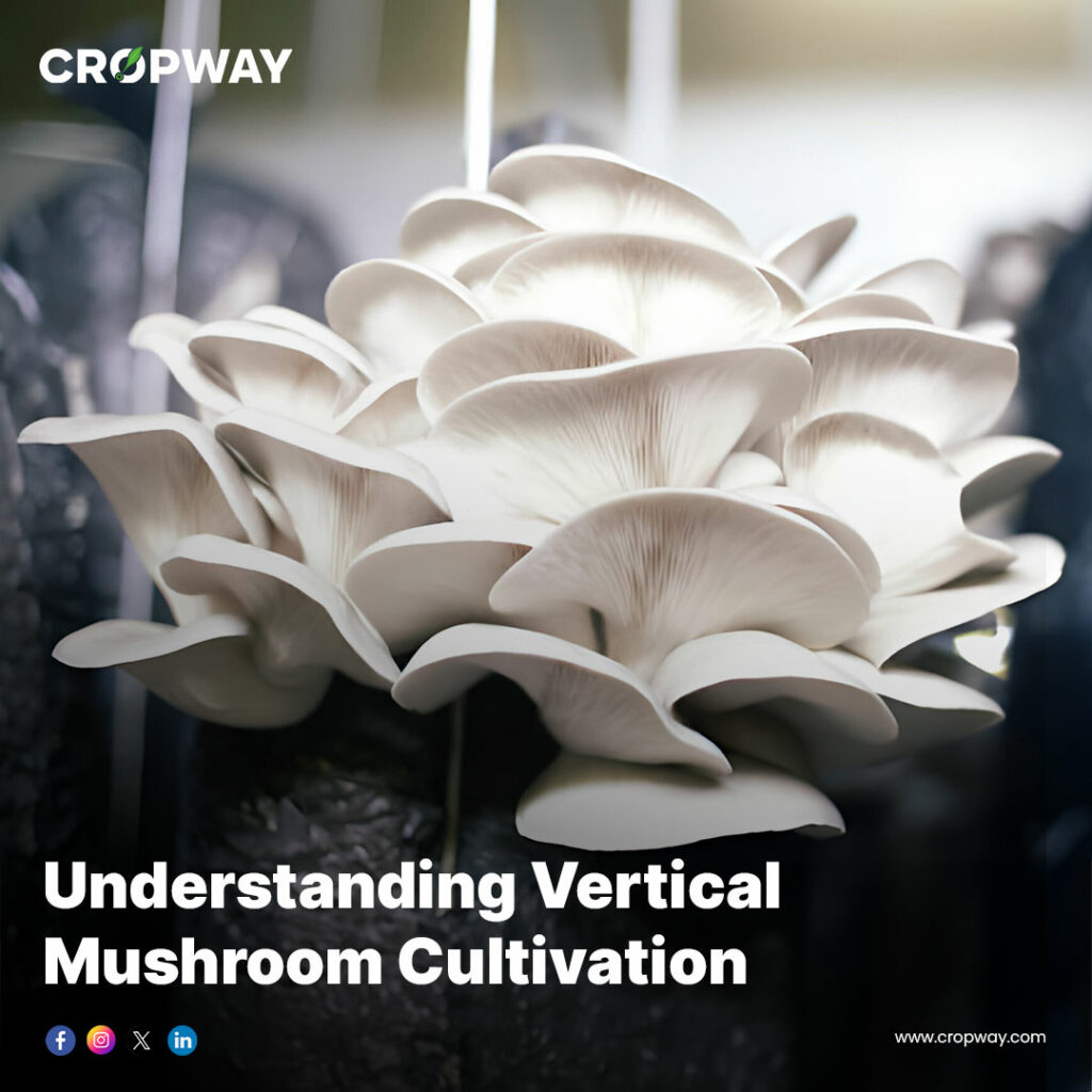 Understanding Vertical Mushroom Cultivation