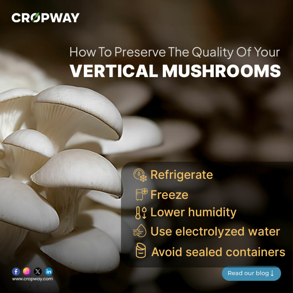 Vertical Mushroom