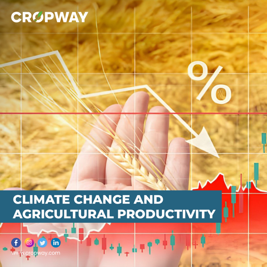 Climate Change and Agricultural Productivity