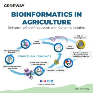Bioinformatics in agriculture