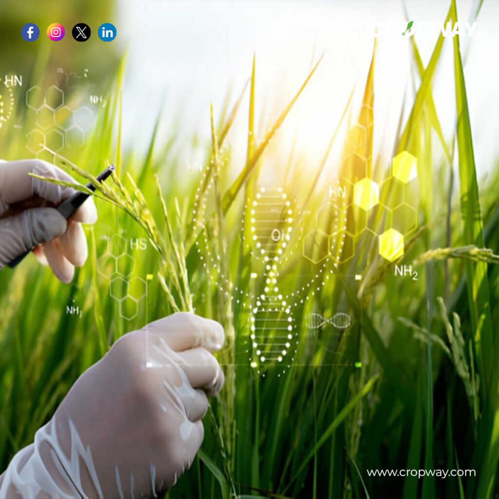 Bioinformatics in agriculture