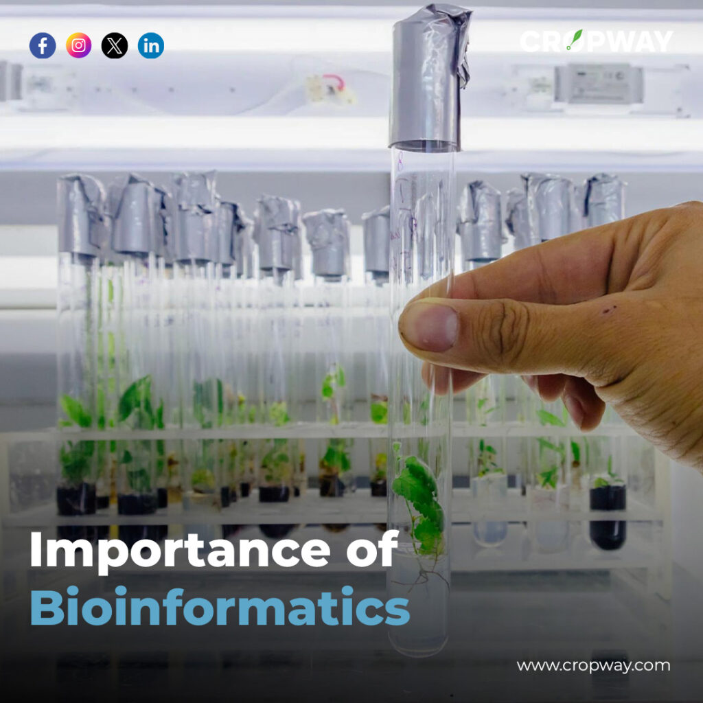 Bioinformatics in agriculture