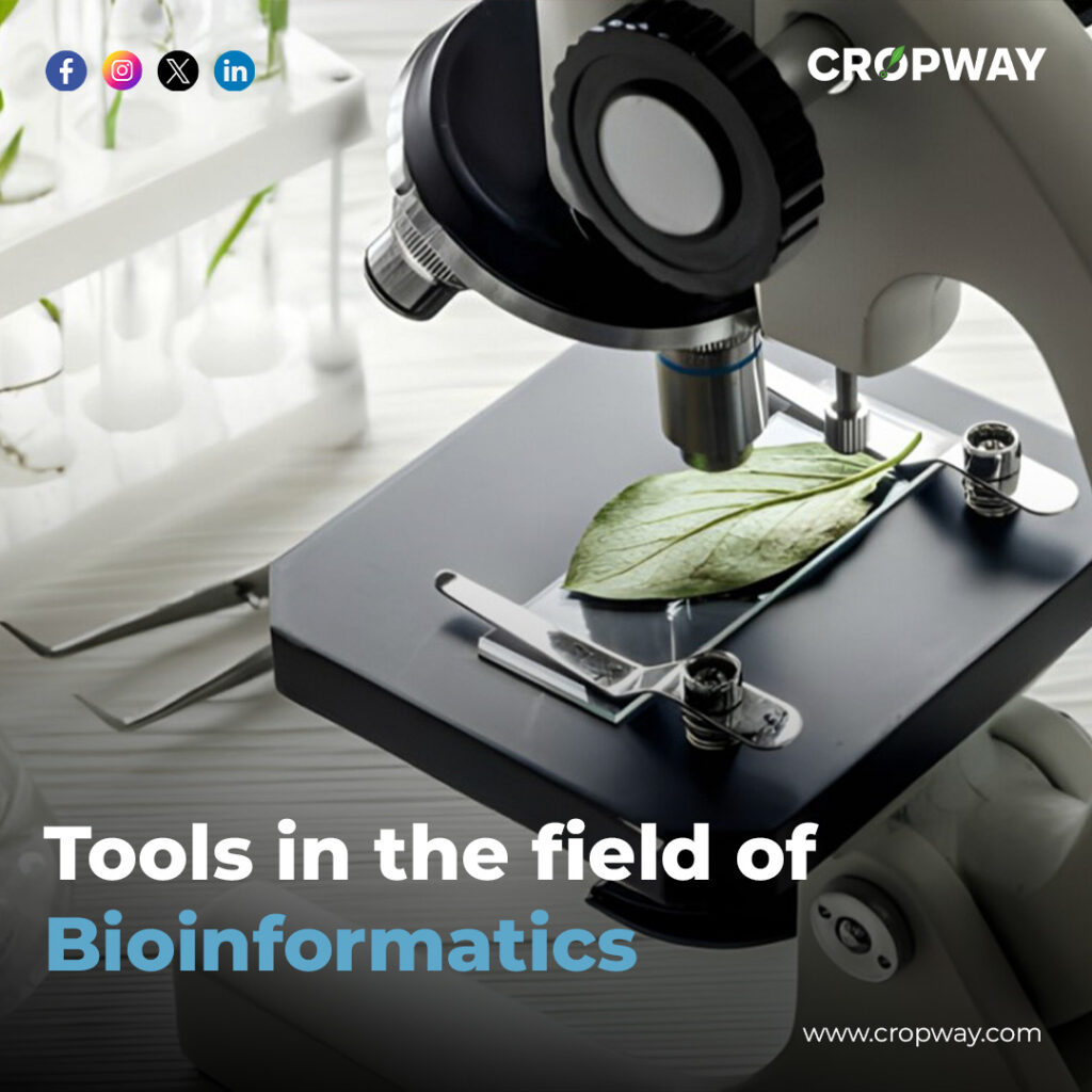 Bioinformatics in agriculture