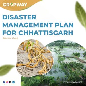 Disaster Management Plan Chhattisgarh
