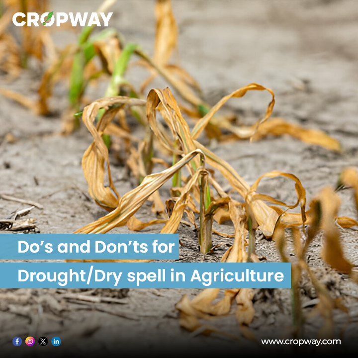 	Do’s and Don’ts for Drought/Dry spell in Agriculture 