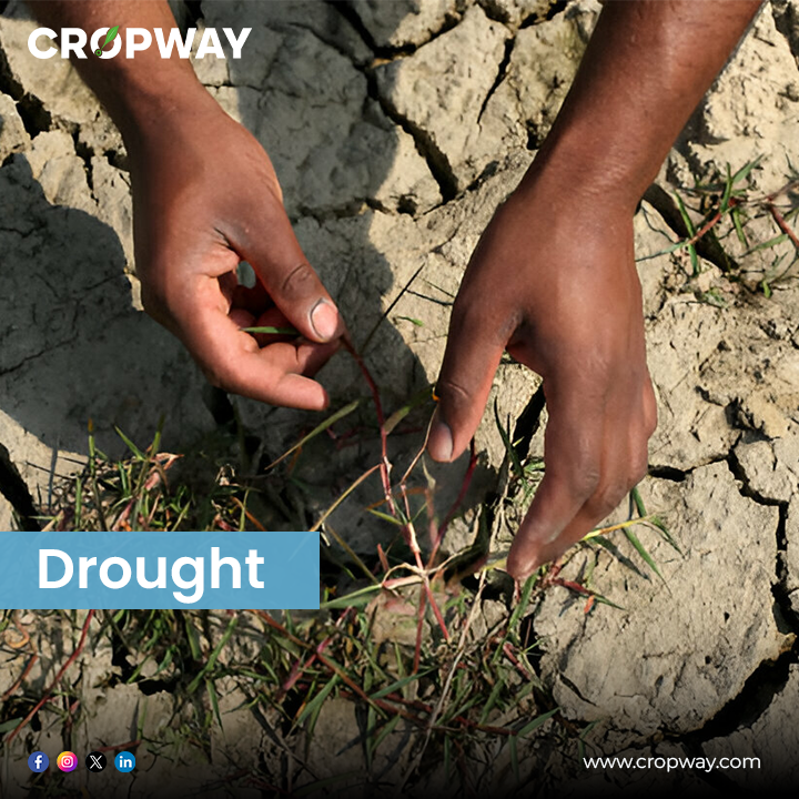 Drought poses a significant threat to the state