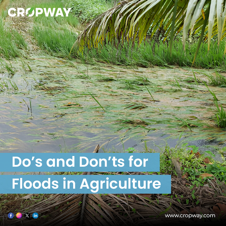 Floods in Agriculture 