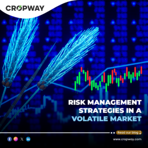 Risk management Market Volatility