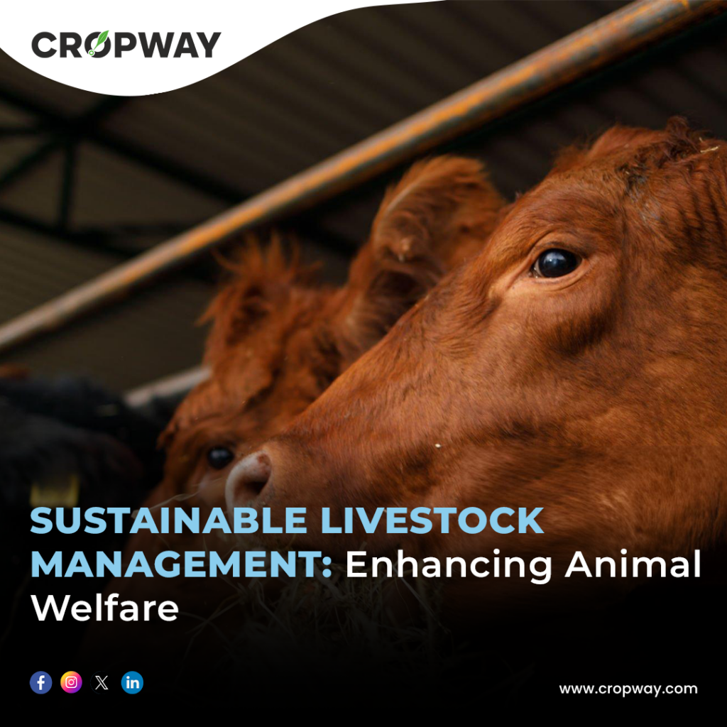 Sustainable Livestock Management