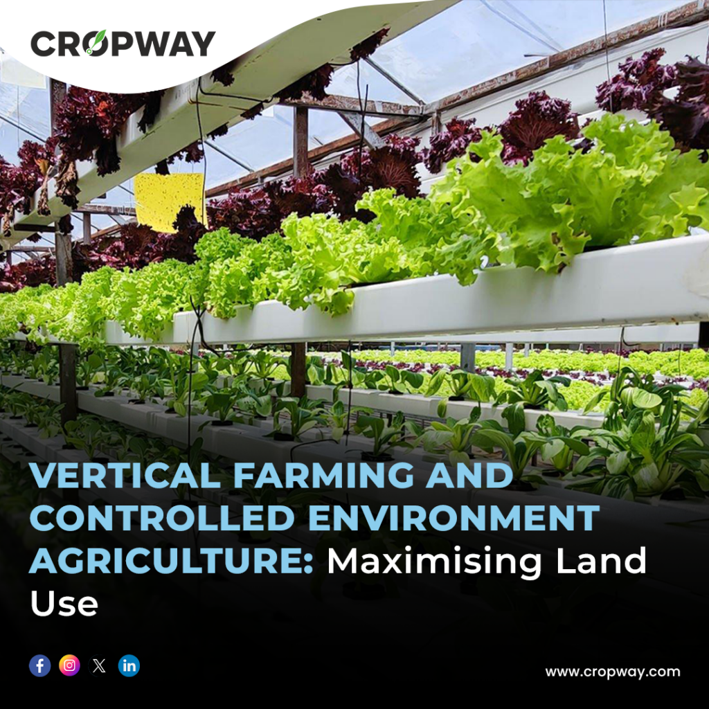 Vertical Farming
