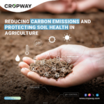Enhancing Soil Health to Reduce Carbon Emissions in Agriculture