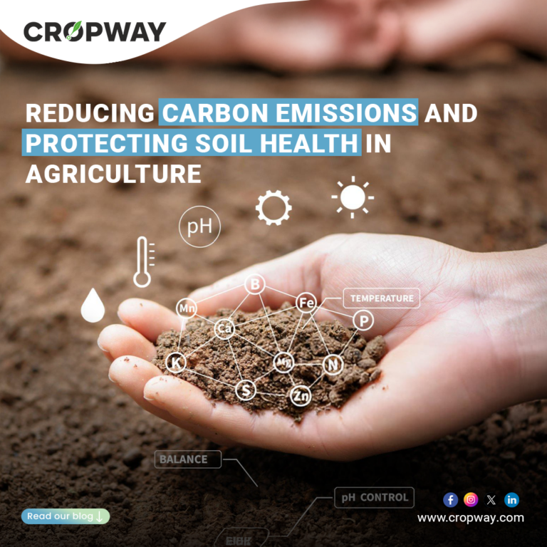 Enhancing Soil Health to Reduce Carbon Emissions in Agriculture