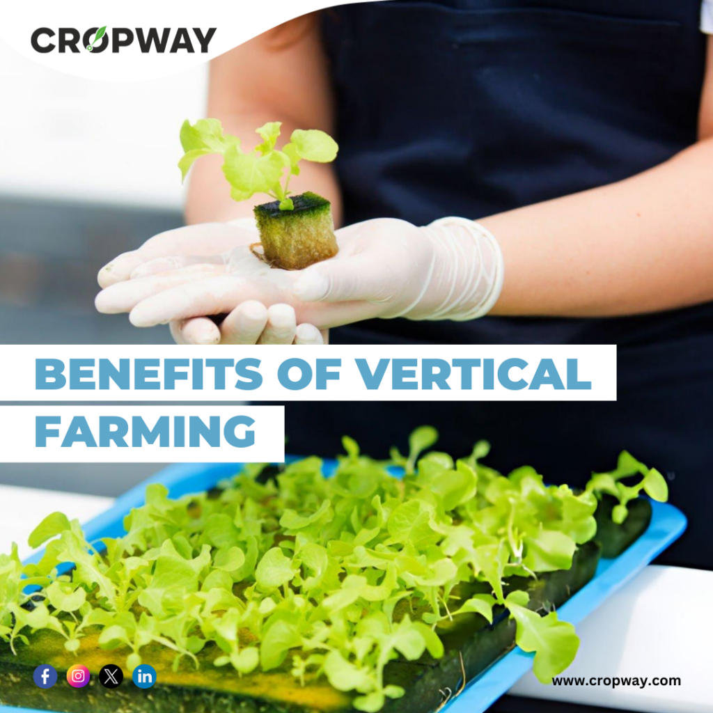 Benefits of Vertical Farming