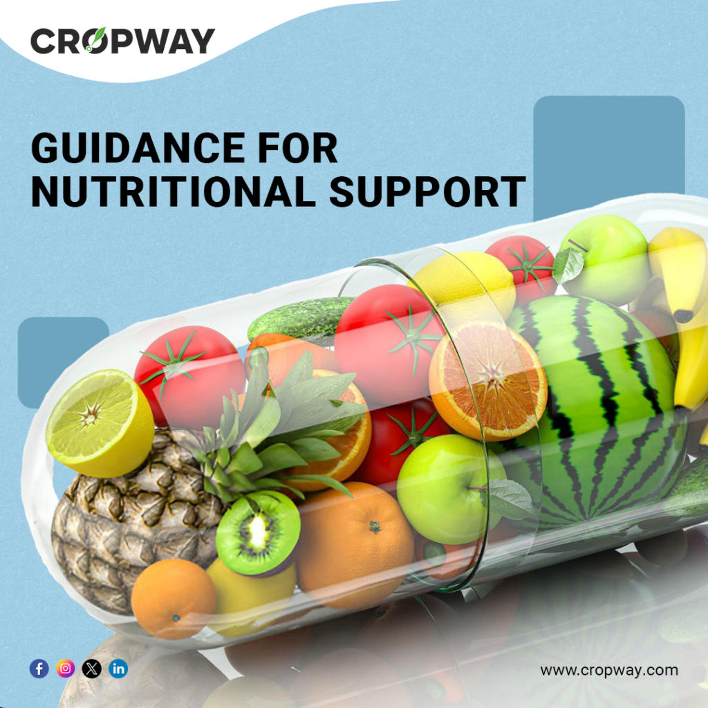 Guidance for Nutritional Support