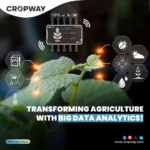 Agriculture with Big Data Analytics