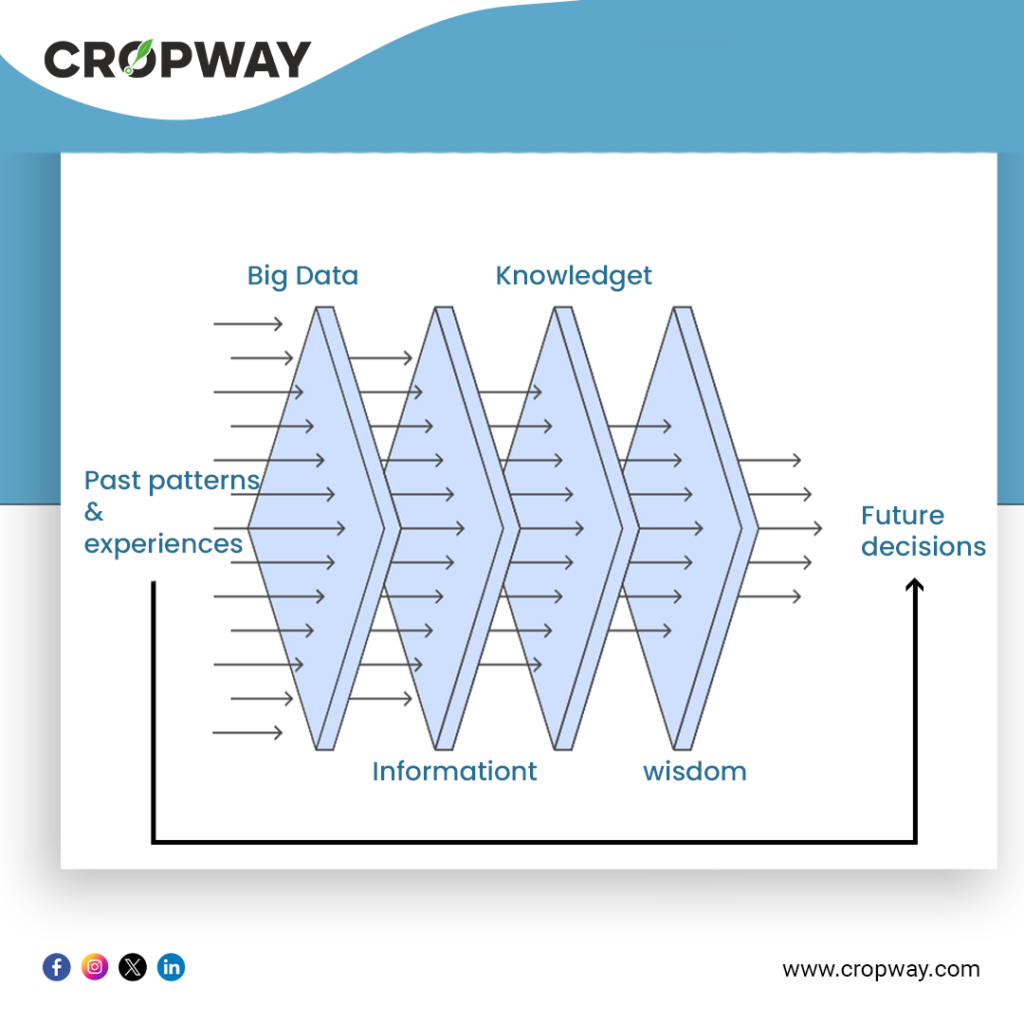 Agriculture with Big Data Analytics
