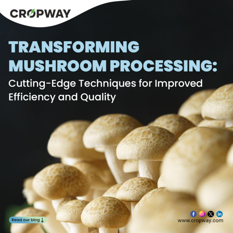 Transforming Mushroom Processing: Cutting-Edge Techniques for Improved Efficiency and Quality