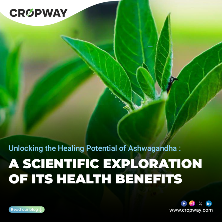 the Healing Potential of Ashwagandha