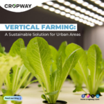 Vertical Farming A Sustainable Solution for Urban Areas