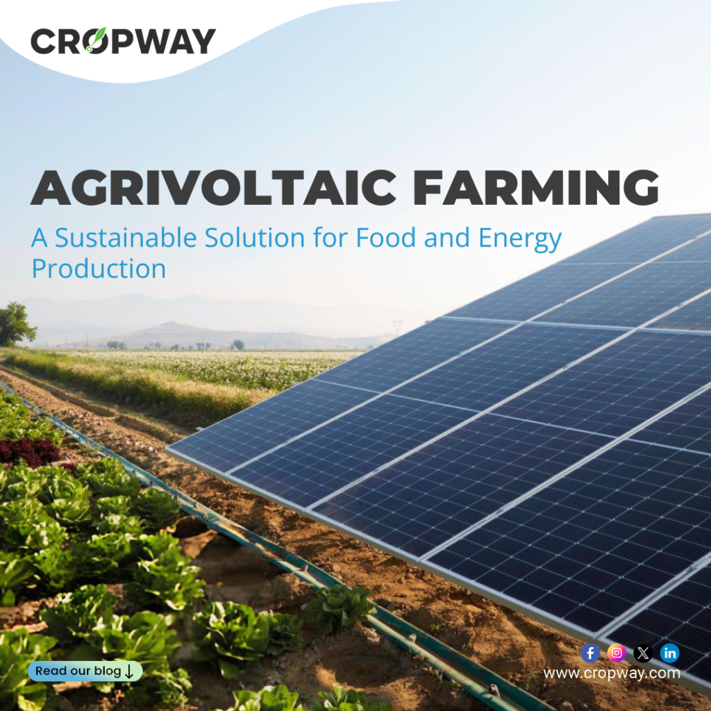 Agrivoltaic Farming: A Sustainable Solution for Food and Energy Production