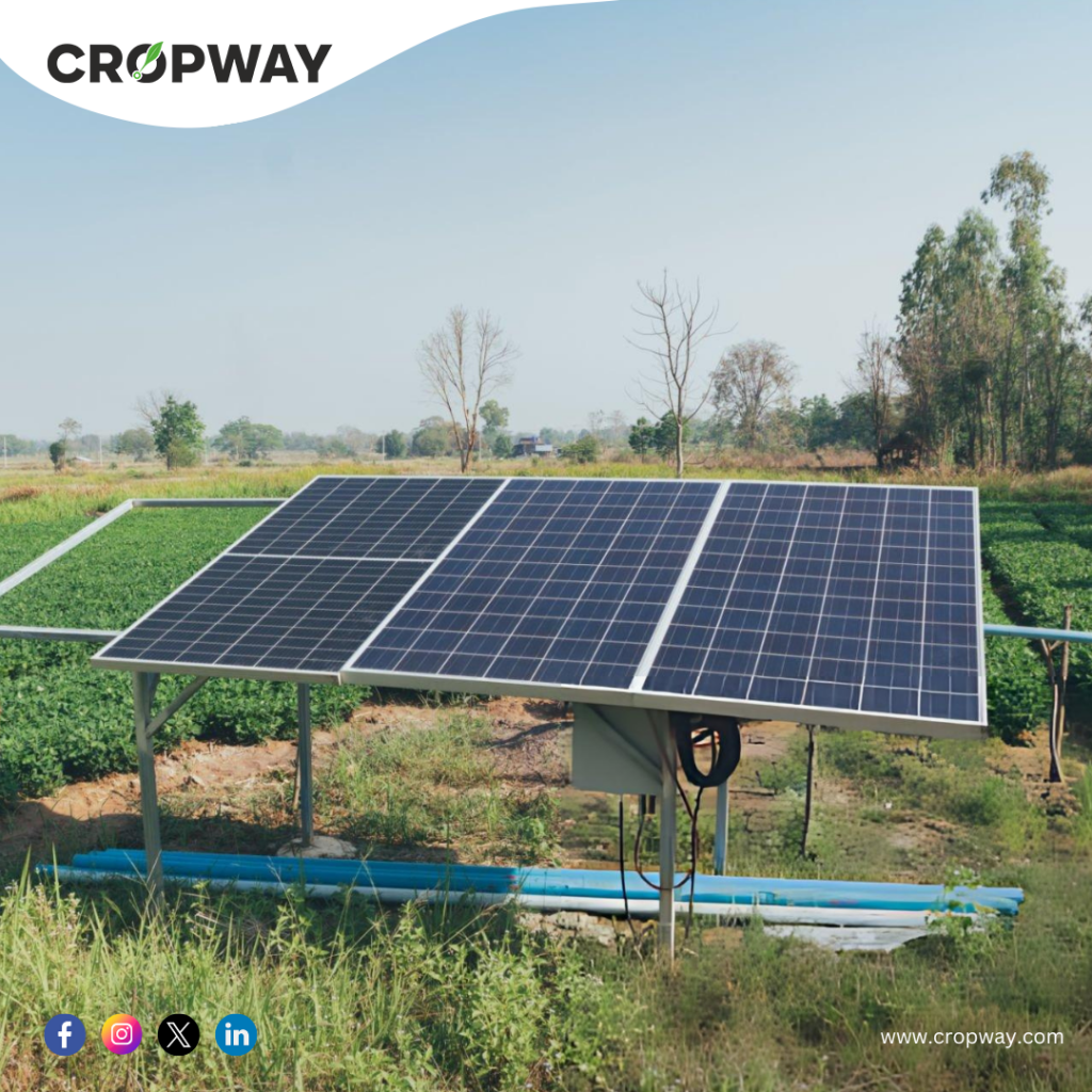 Agrivoltaic farming