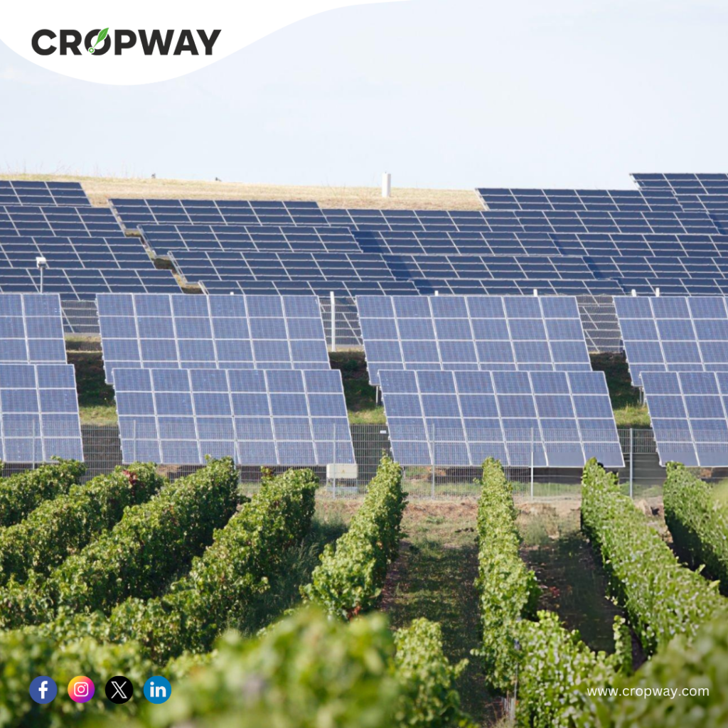 Benefits and Accessibility of Agrivoltaic Farming