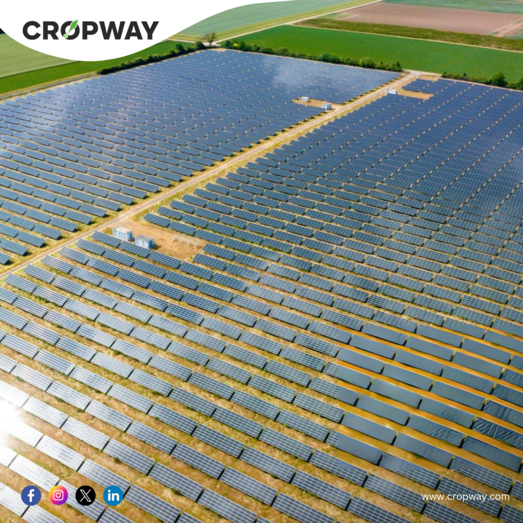 Examples of Agrivoltaic Applications