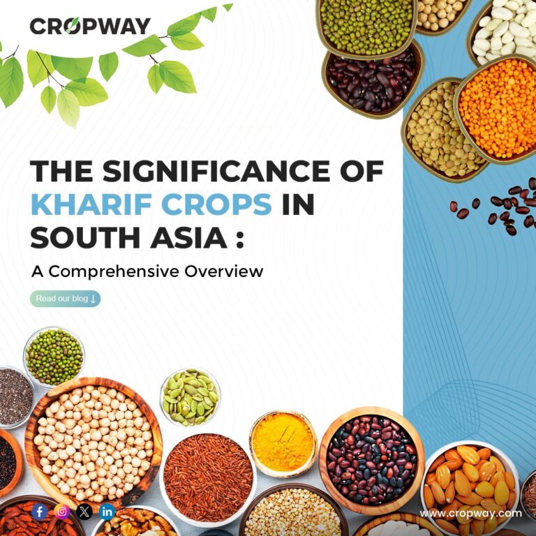 Kharif Crops in South Asia