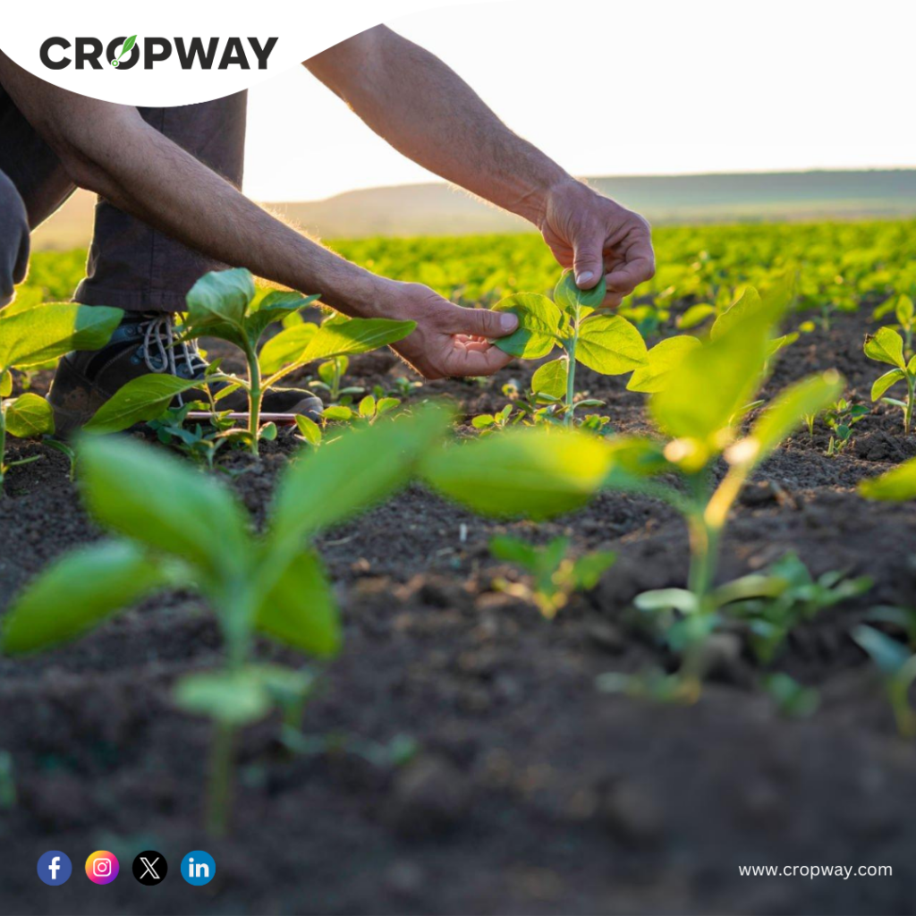 Practices of Sustainable Agriculture