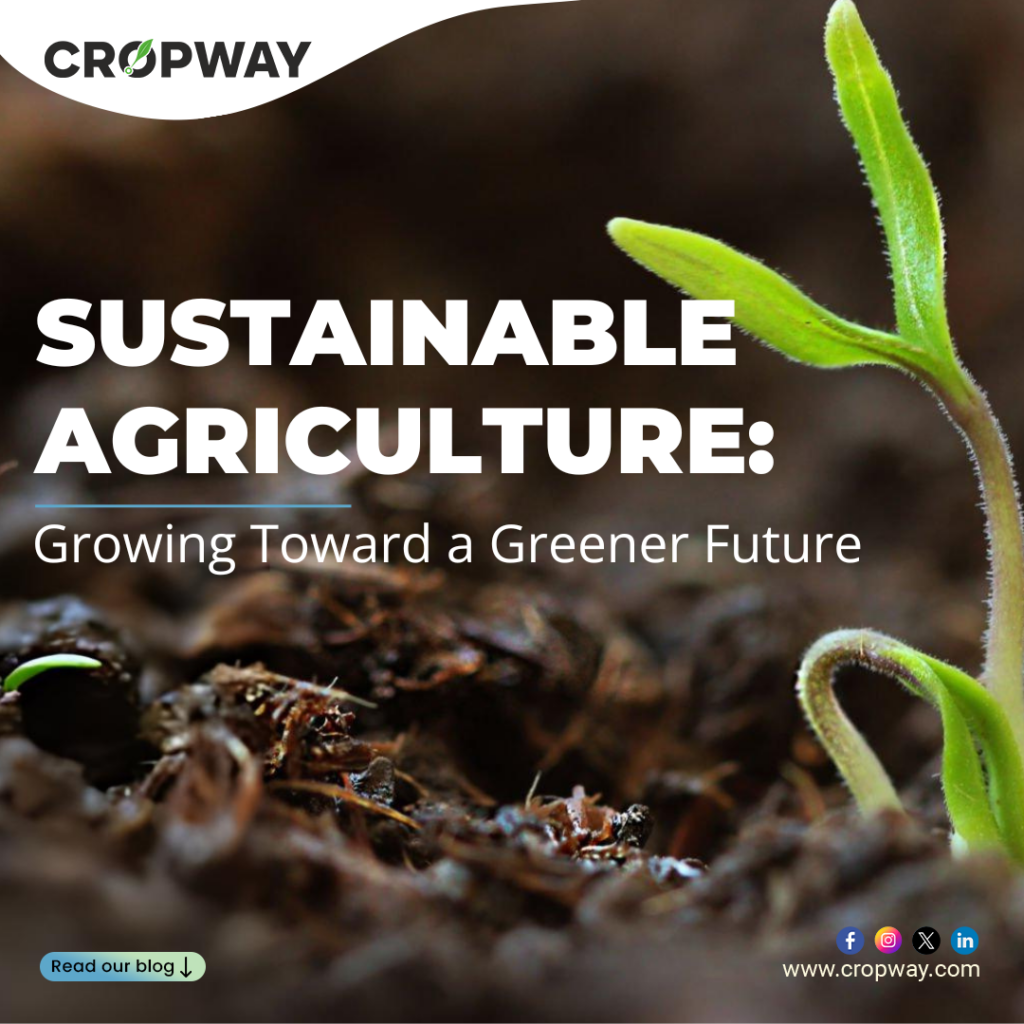 Sustainable Agriculture