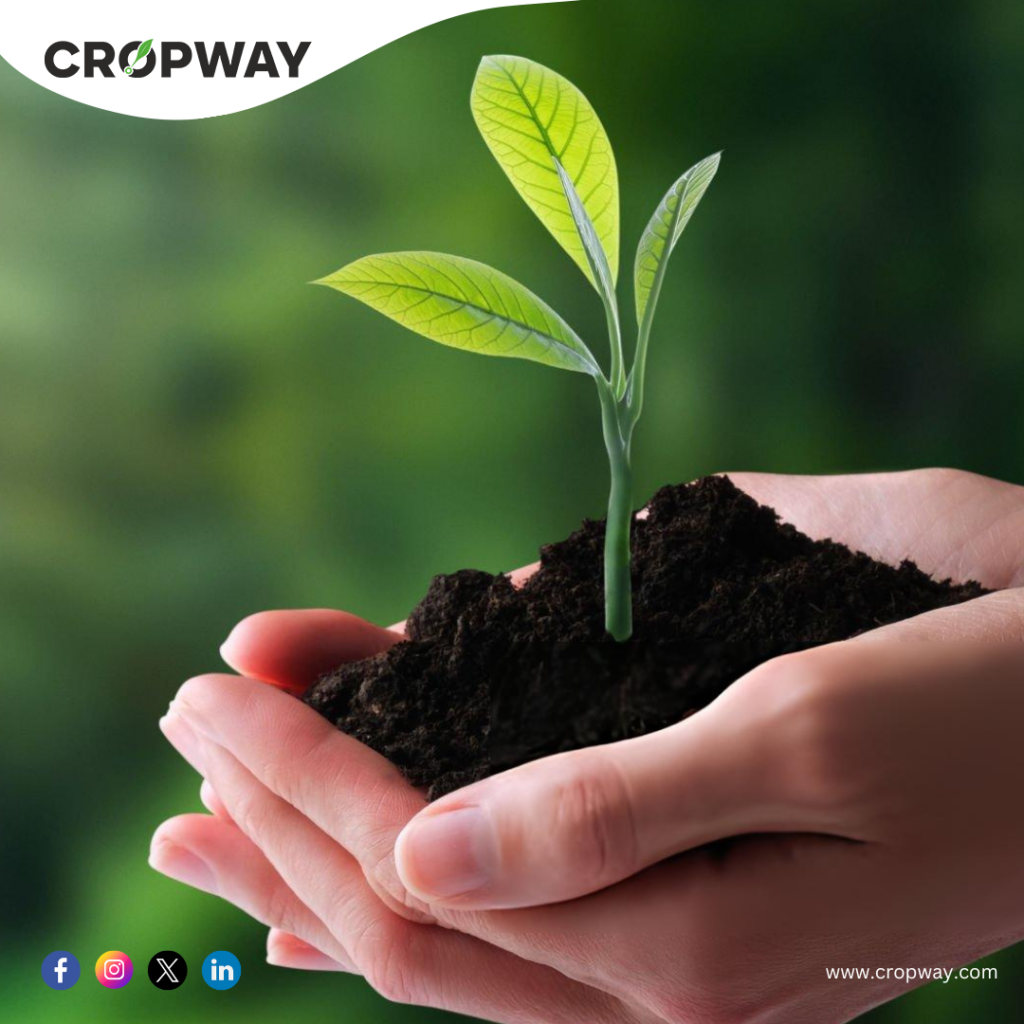 Understanding Sustainable Agriculture