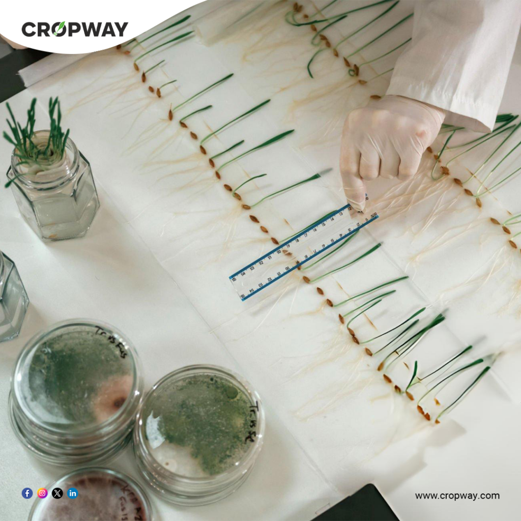 Plant morphology Key Components of Flowering