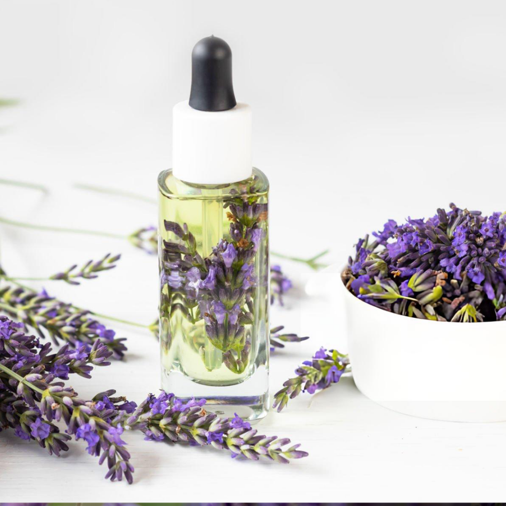 Lavender Uses, and Value-Added Products