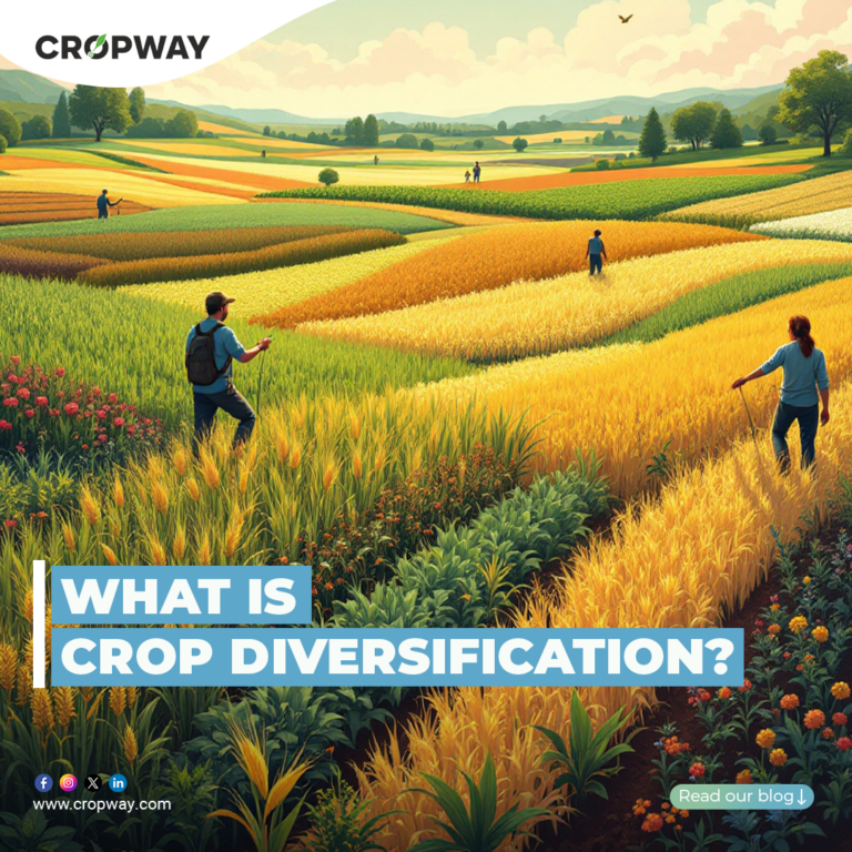 what is crop diversification
