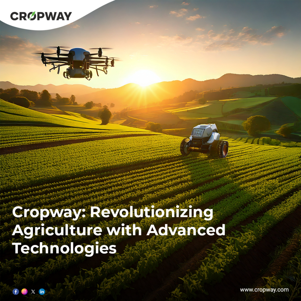 Cropway Revolutionizing Agriculture - Preventing Plant Deficiencies