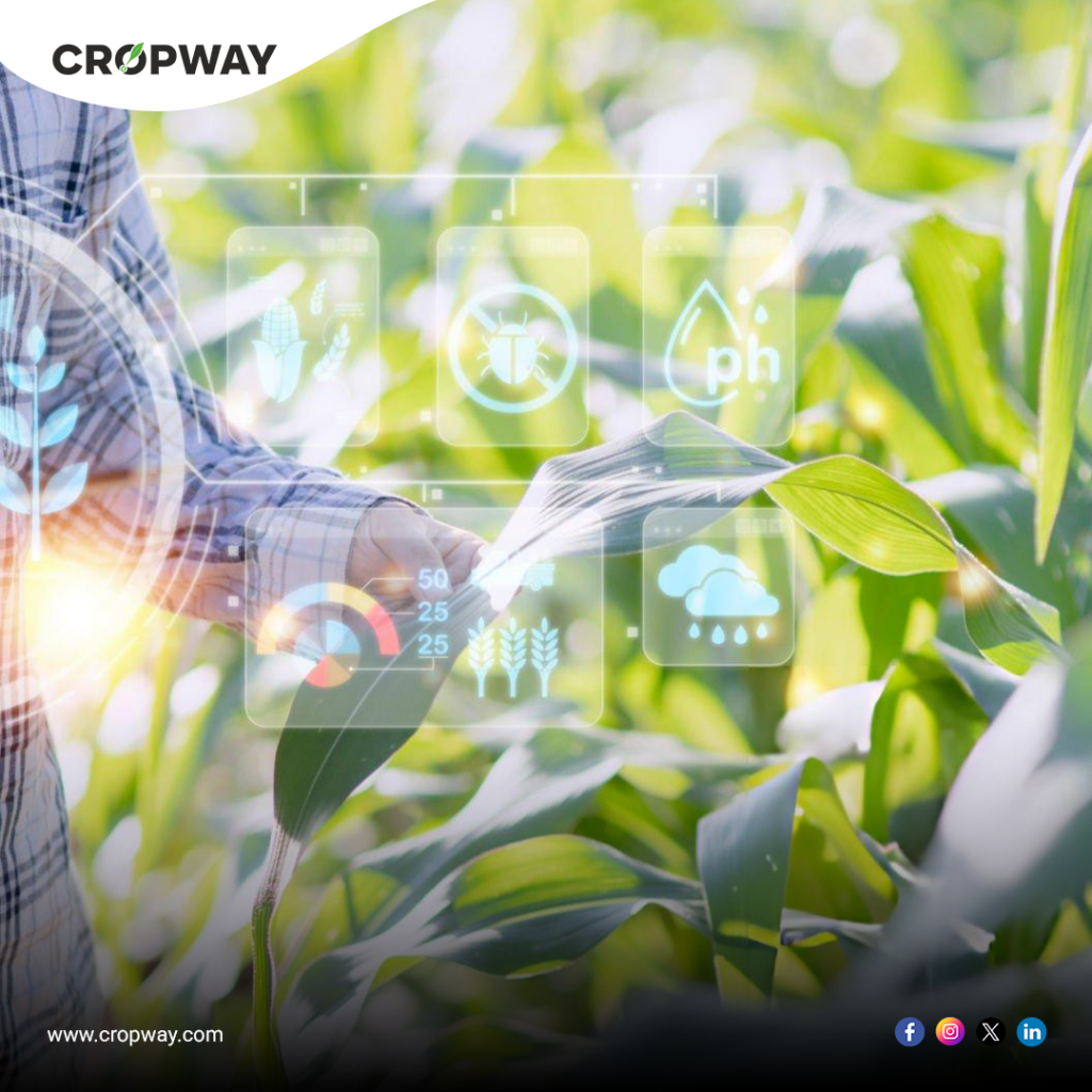Agricultural
Methodologies in Transfer Learning