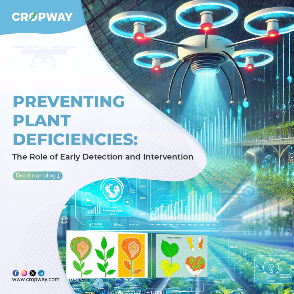 Preventing Plant Deficiencies