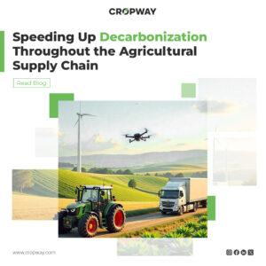 Agricultural Supply Chain